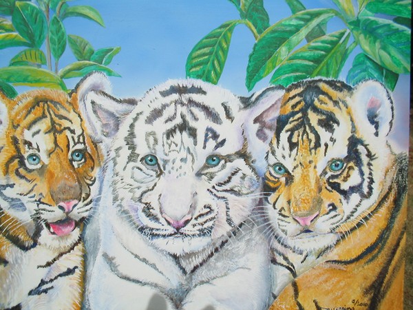 Three Tiger Cubs