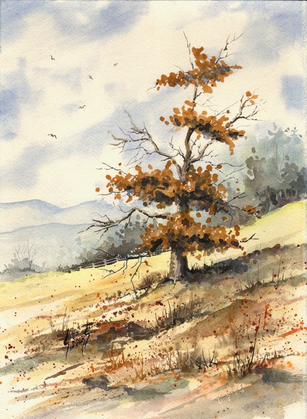 Tree On A Hillside