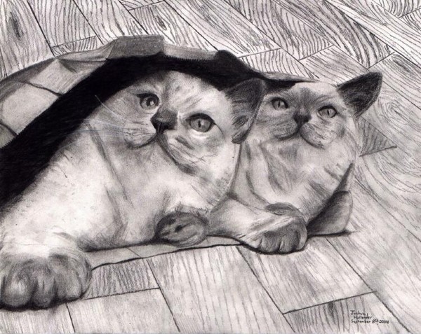 Art Drawing of Two Cats