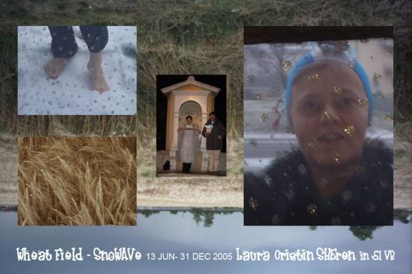Wheat Field - SnoWAVe