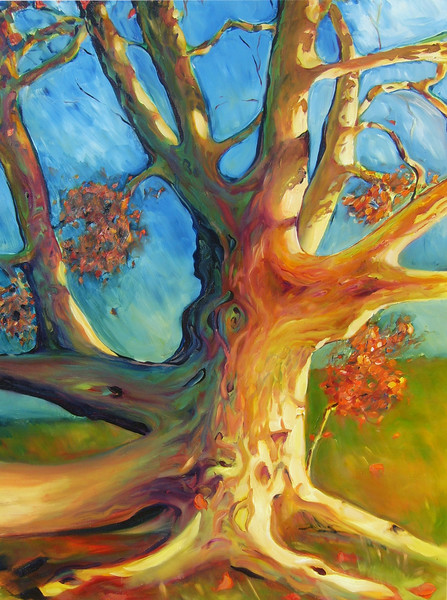 MSU Campus tree