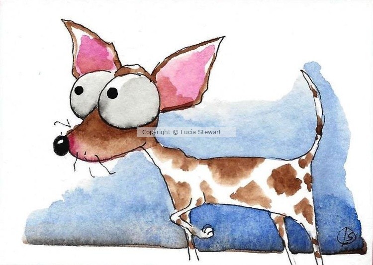 Chihuahua dog
