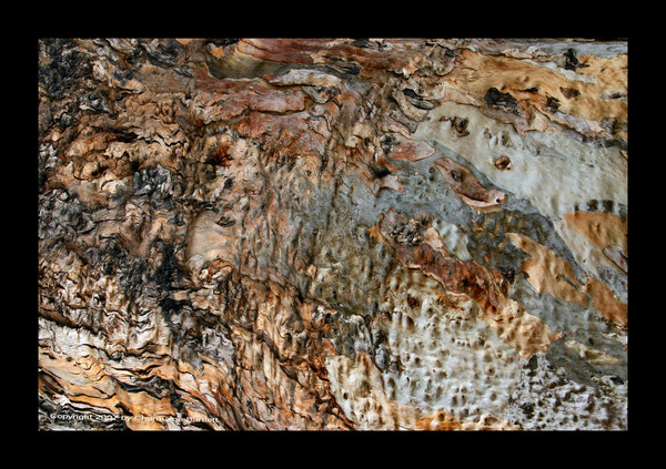 Texture  2