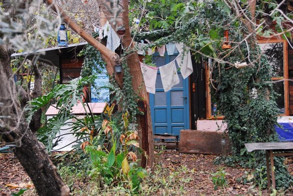 hut in the bush
