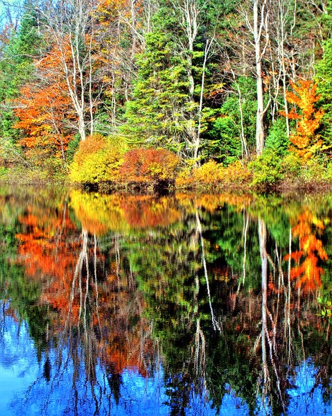 Autumn On The Lake