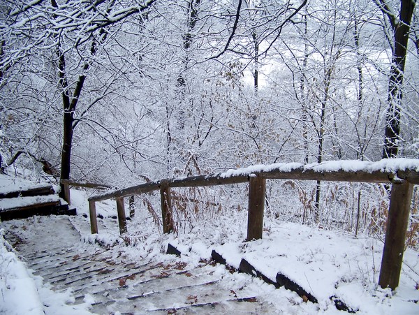 Stairs to the Winter