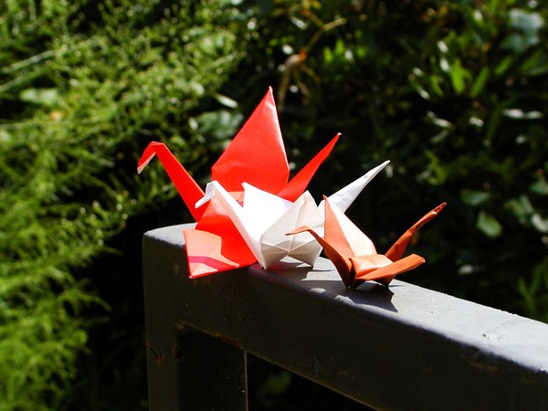 Origami 6