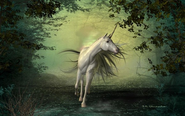 Unicorn fantasy