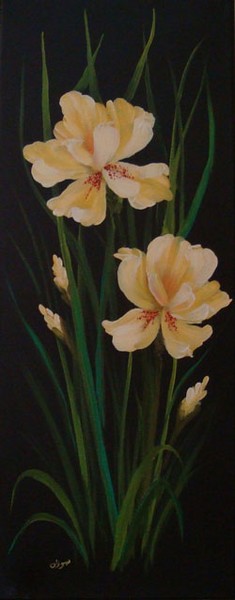 Golden Iris