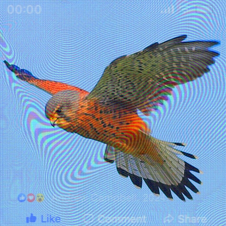 Re: ANDREW CAMPBELL: BRITISH ARTIST: ART STUDIO PROTOTYPES: iPHONE-MAQUETTES: VISUALBITES: #43