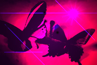 Iron butterfly