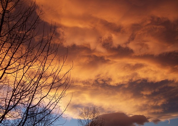 Cotton Candy Sky