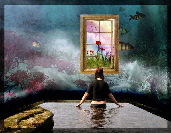 Open Window