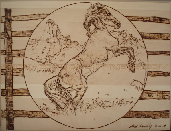 Wild Horse