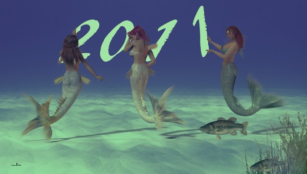 Preparing for 2011
