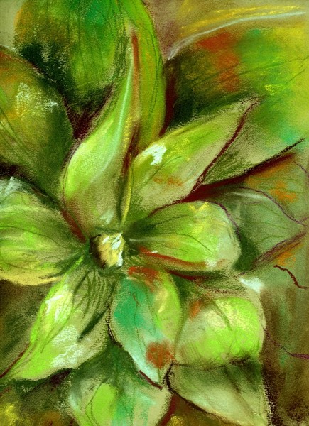 Agave Bright Green