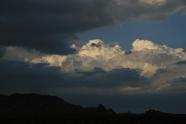 Storm Brewing