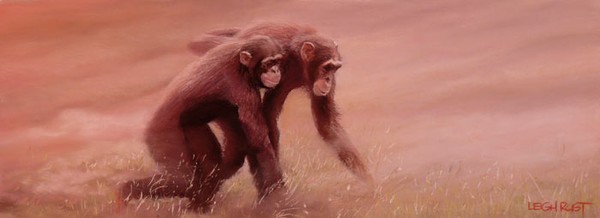 Escaping the fires