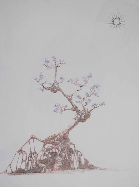 swamp tree