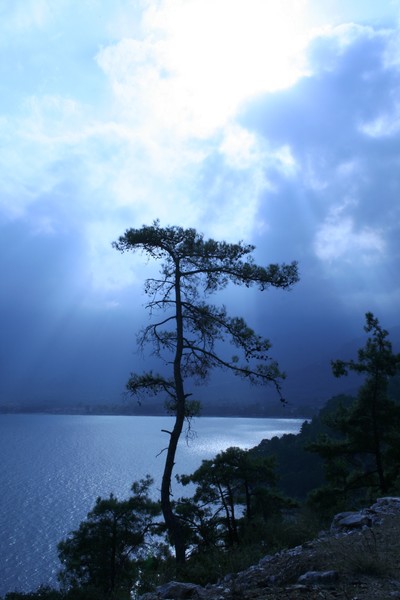 The Joy of Solitude