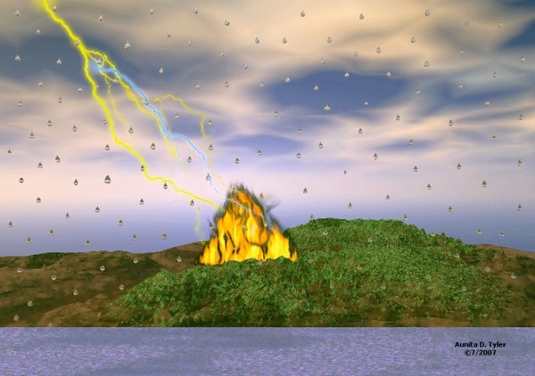 The Elements