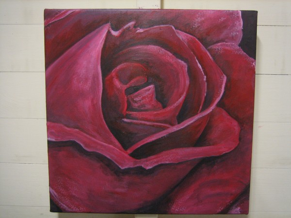 Large Rose