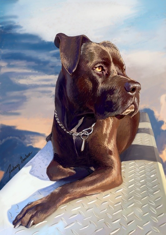 Bruce