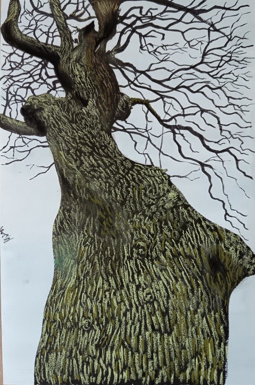 Pastel and ink tree. 