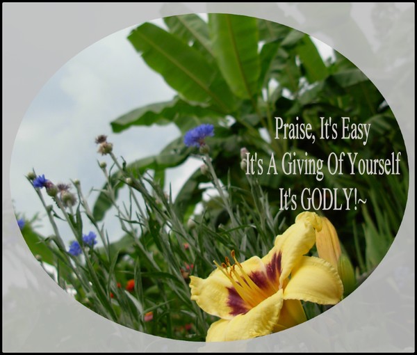Praise