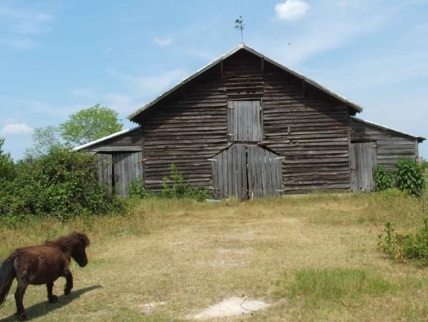 OK, BACK TO THE BARN THEN
