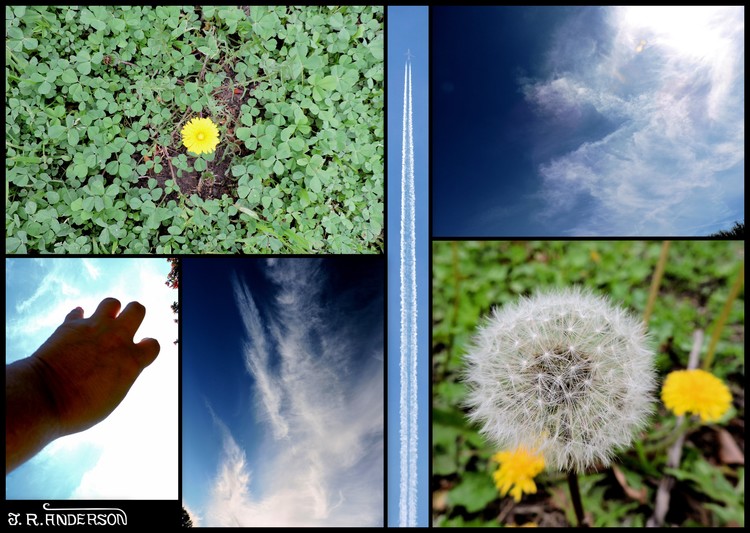 March 19th 2018 Collage 1