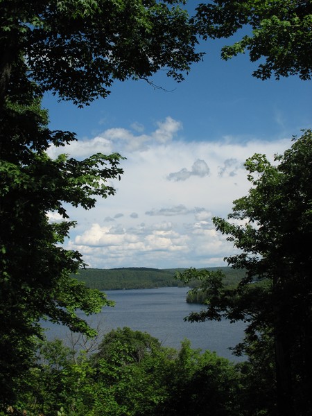 Algonquin Park, Ontario, Canada, June'08