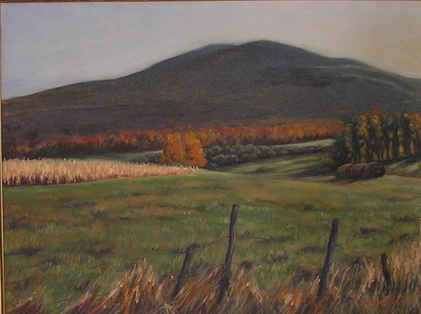Windham Farm