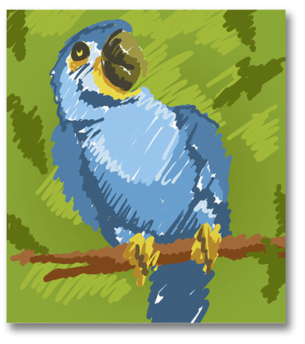 Bird