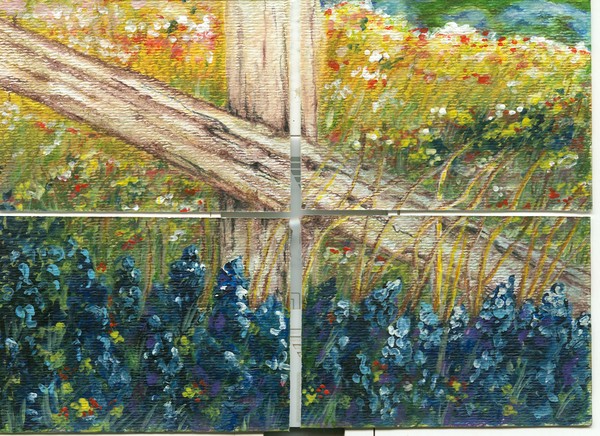 texas bluebonnets