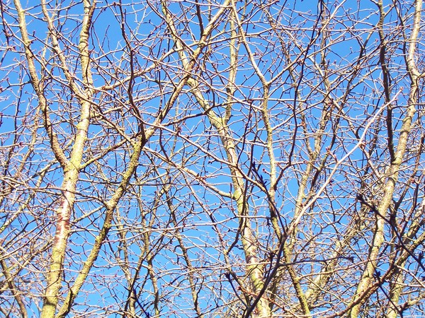The Blue Beyond