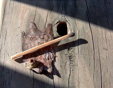 matchstick