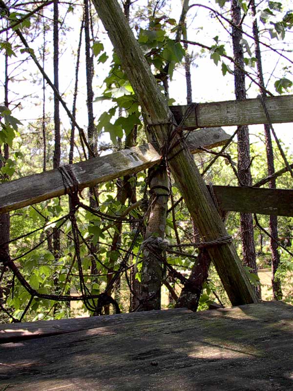 Treehouse Yoga