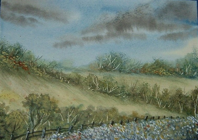 COuntryside view