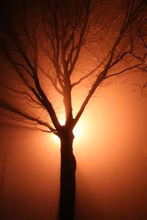 Night & nebulous #3