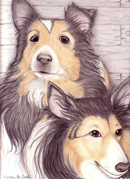 'Sassy and Sydney'