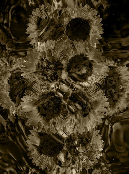 Floral (1a)
