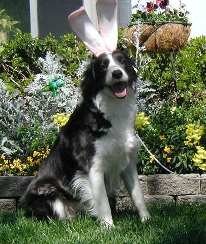 Happy Easter