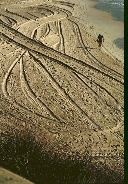 Tracks