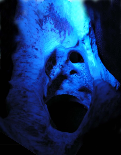 banshee