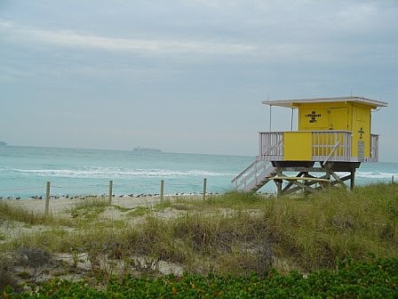 The Soft Shore