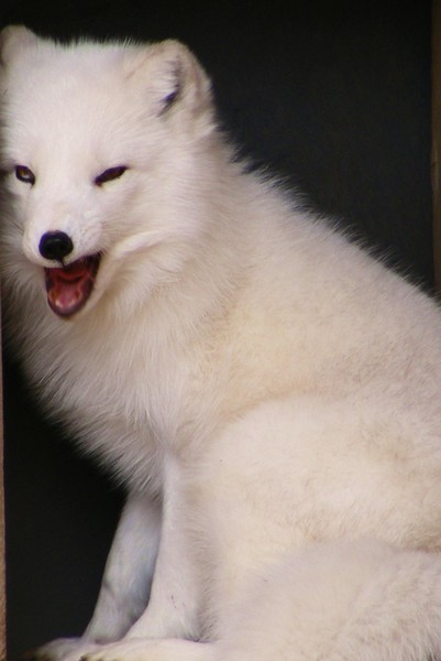 No More Photographs Please...