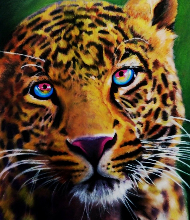 BRIGHT EYES 