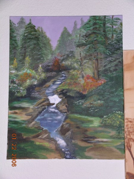 Forest stream