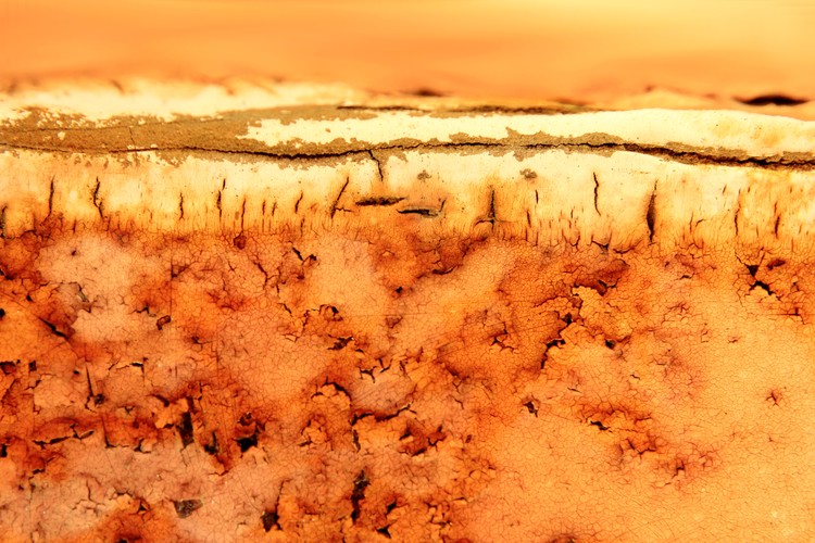 Desert Haze